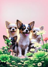 Chihuahua dogs theme