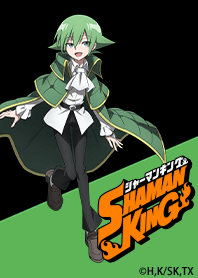 SHAMAN KING Vol.11