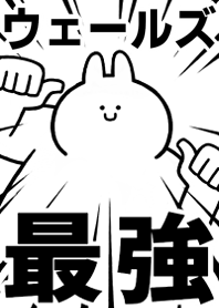 Strongest rabbit[UE-RUZU]
