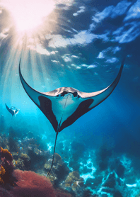 Fantasy tale of the sea14