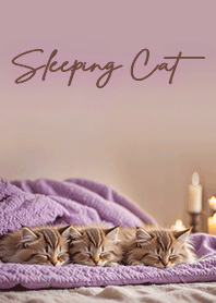 Cats sleeping peacefully - Purple