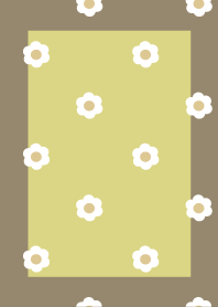 Yellow Daisy Florets Dullness flower