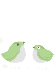 メジロとメグロ
