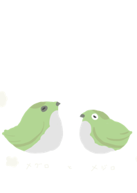 Green birds