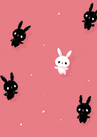 不一樣的小兔子