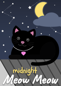 真夜中の黒い猫