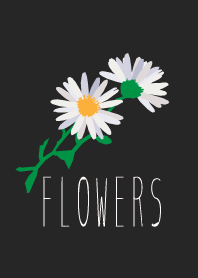 Flowers*H*05