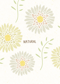 Adult color flowers leaves27 from Japan