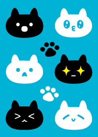 Theme cute cat