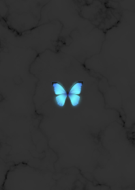 幸運を呼ぶ青い蝶