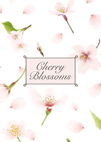 Cherry Blossoms [White]