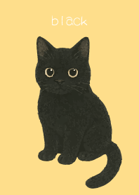 Round Black Cat2 on brown & yellow