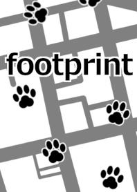 footprint*
