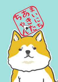 まいにちあきたちゃん　秋田犬