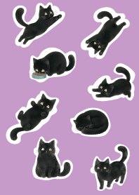 A unique cat15 light purple