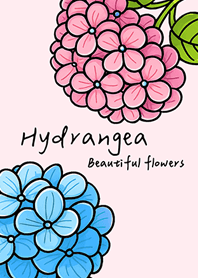 Plant hydrangeas!(Peach Powder)