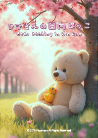 Bear basking in the sun 2
