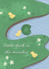 little duck in the meadow