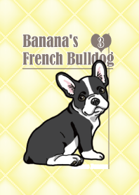 Banana's French Bulldog 3