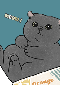 neko single21 / neil blue