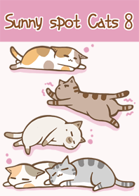 sunny spot cats No.8