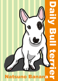 Daily Bull terrier