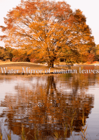 Water Mirror of autumn leaves