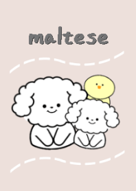 maltese dog theme3 pink beige