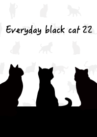 Everyday black cat22