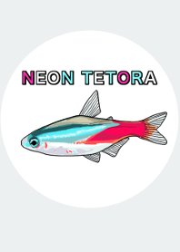 Neon tetra