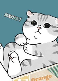 neko single15 / neil blue