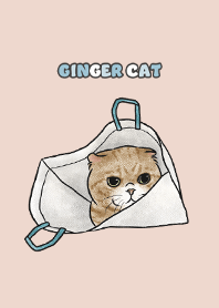 gingercat7 - sea shell