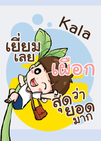 เผือก กะลา V10