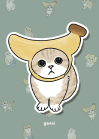 neko combo3 / dusty green