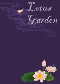 ロータスガーデン01 + 紫