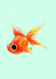 Pop-eyed goldfish