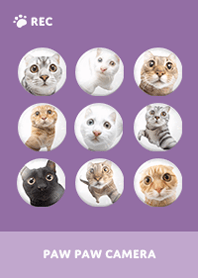 Paw Paw Camera - Purple 10