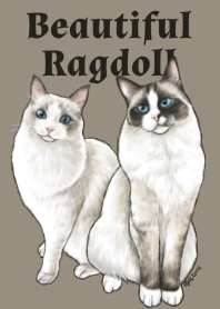 Beautiful Ragdoll