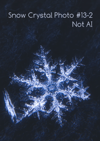Snow Crystal Photo #13-2Not AI