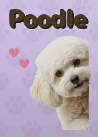 ธีมพุดเดิ้ลทอย Purple 04