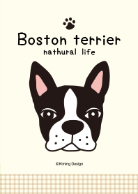 Boston terrier -nathural life-