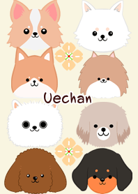 Uechan Scandinavian dog style3