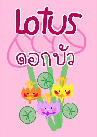 Lotus in nature