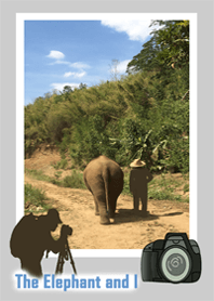 The elephant and I