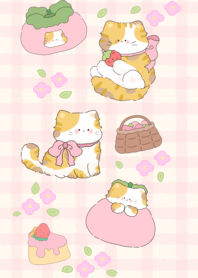 fat fruit cat