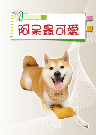 阿呆最可愛