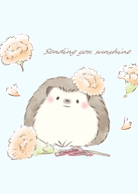 Hedgehog&Carnation:blue