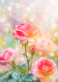 Beautiful rose flower(R2693)