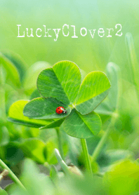 LuckyClover2