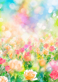 Beautiful rose flower(R3335)